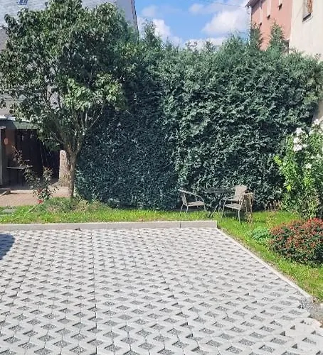 Eg Frauenmarkt 1 Schneeberg (Saxony)